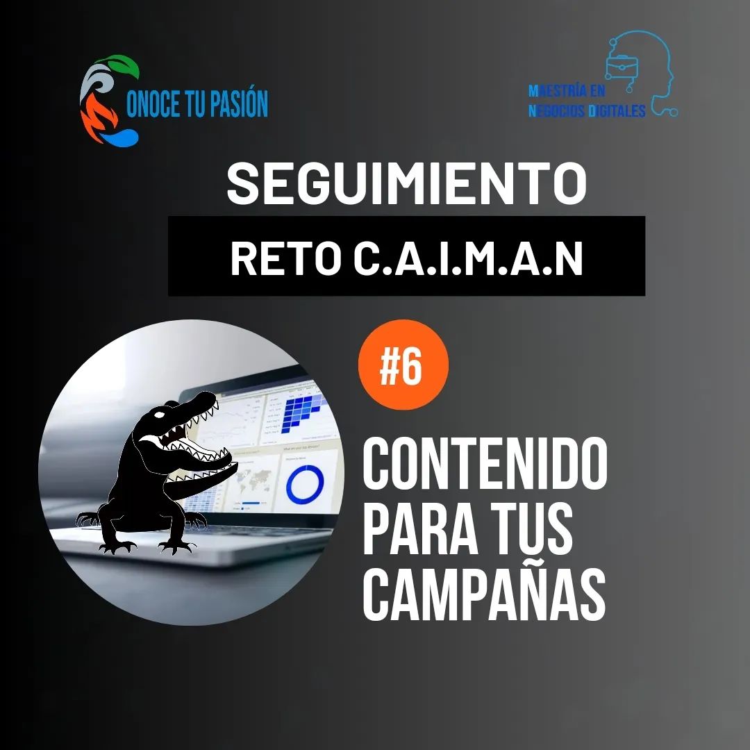 Diferentes tipo de contenido para tus campañas | Seguimiento del Reto C.A.I.M.A.N 