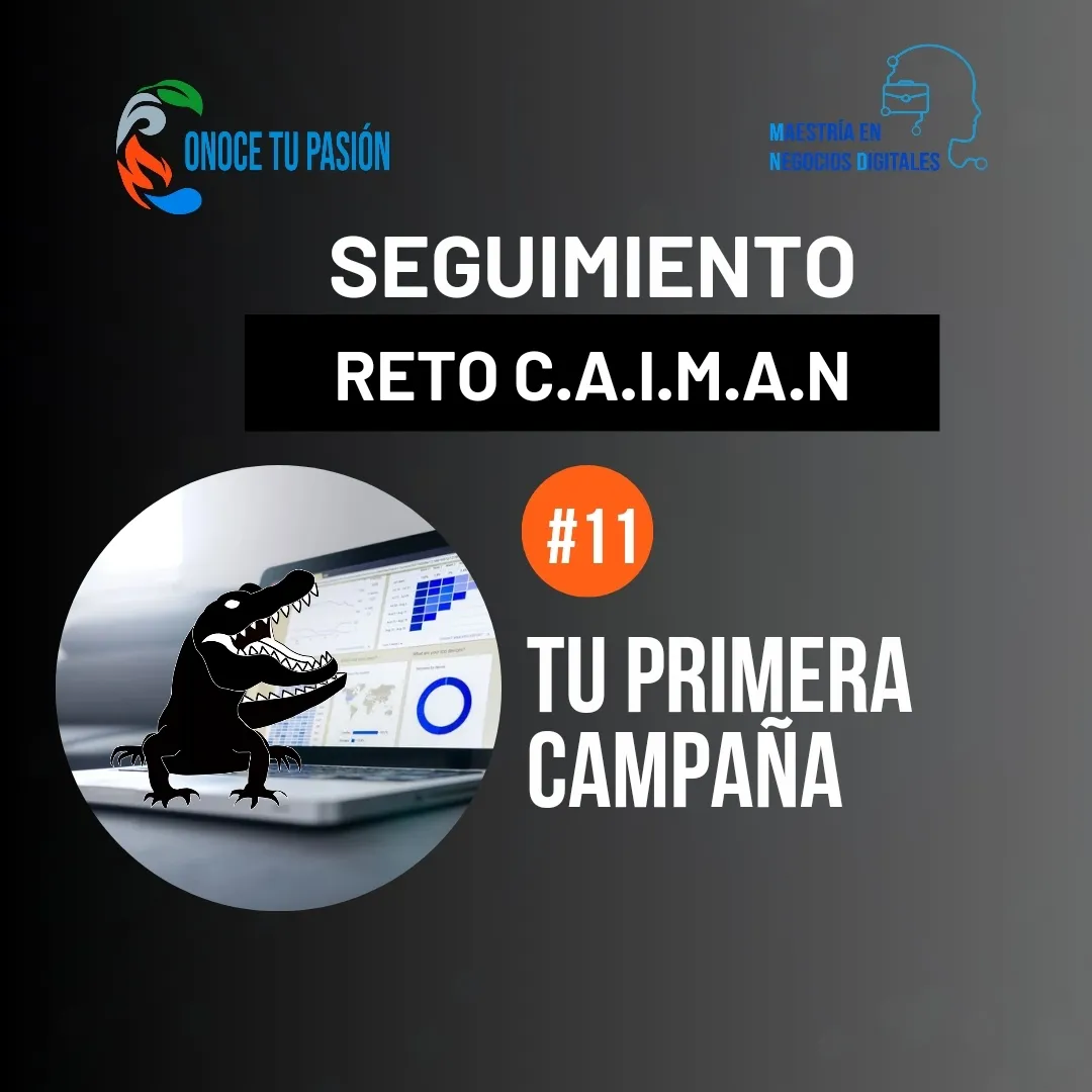 Google Ads, la importancia de hacer tu primera campaña | Seguimiento del Reto C.A.I.M.A.N 