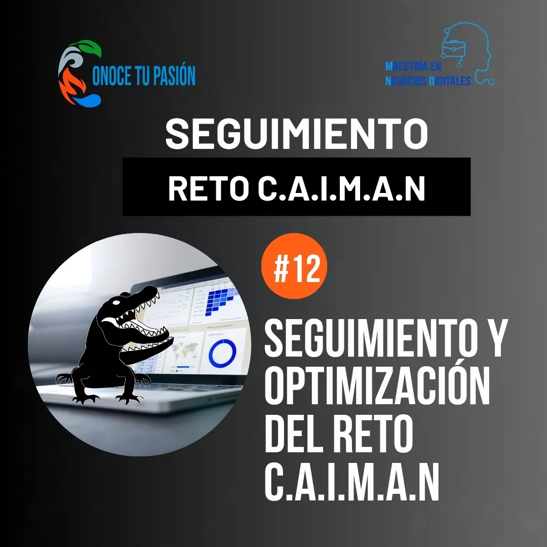 Seguimiento y Optimización del Reto C.A.I.M.A.N | Seguimiento 11