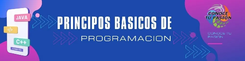 Principios básicos de programación 